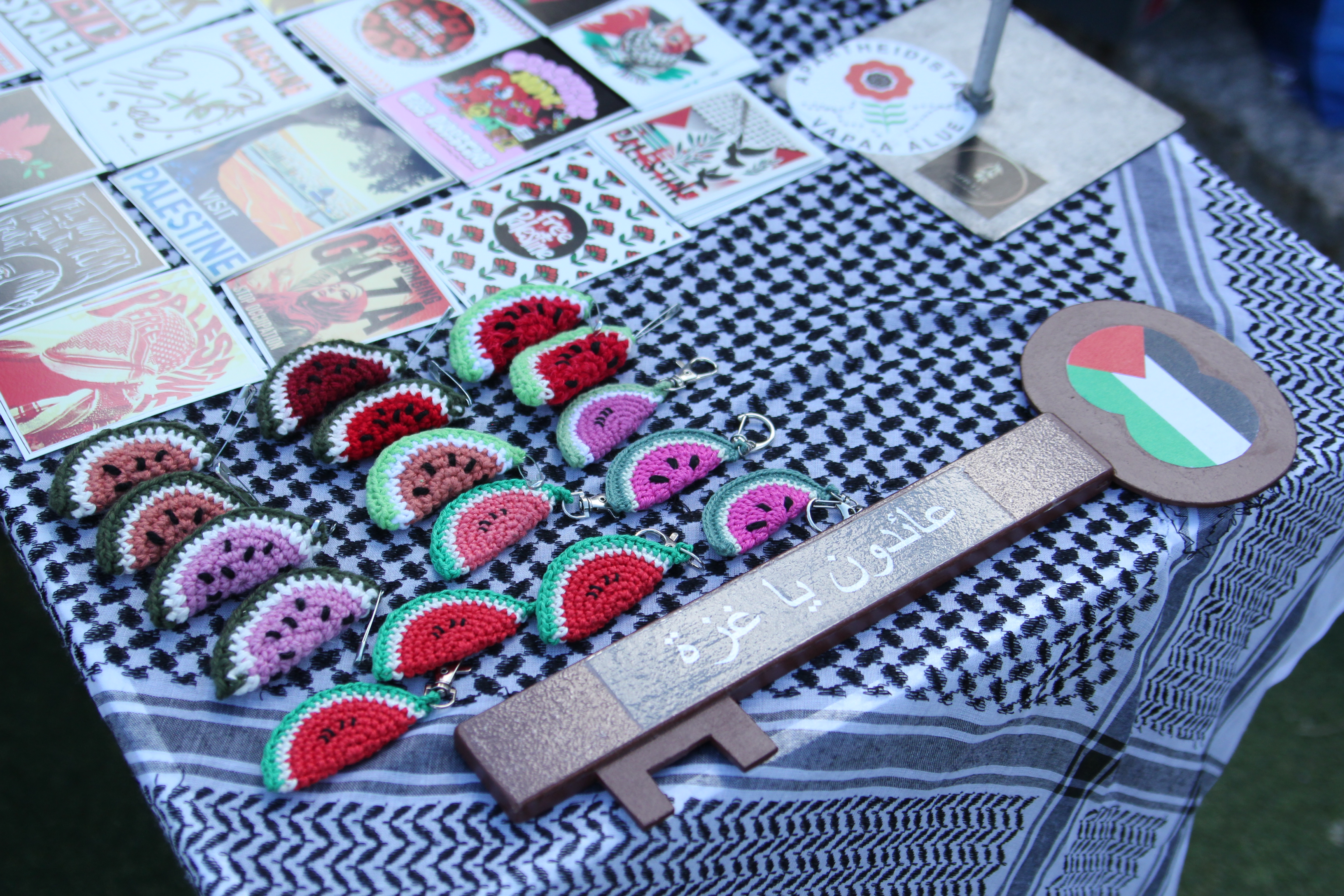 Picnic for Palestine event photo 2