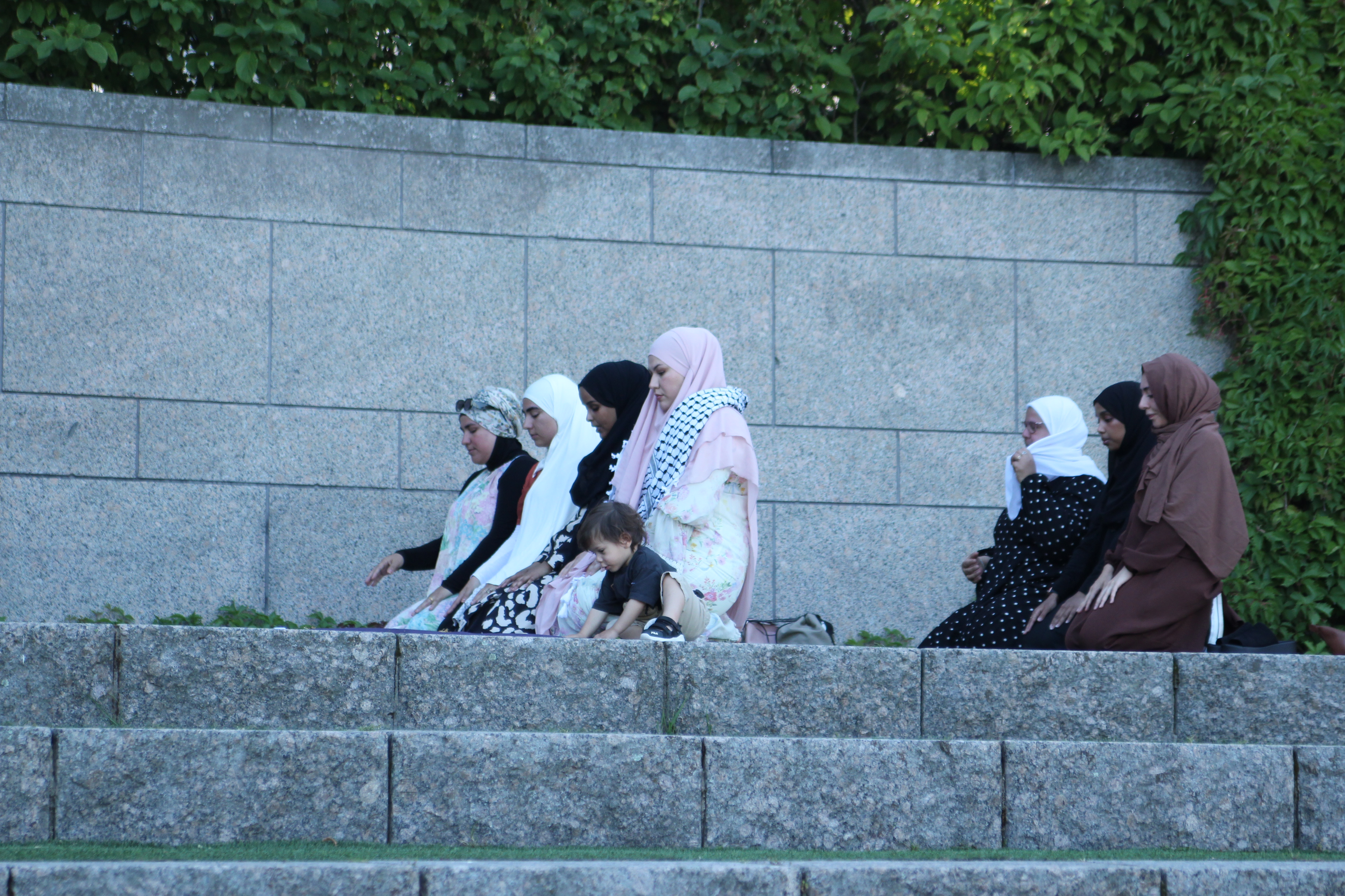 Picnic for Palestine event photo 4